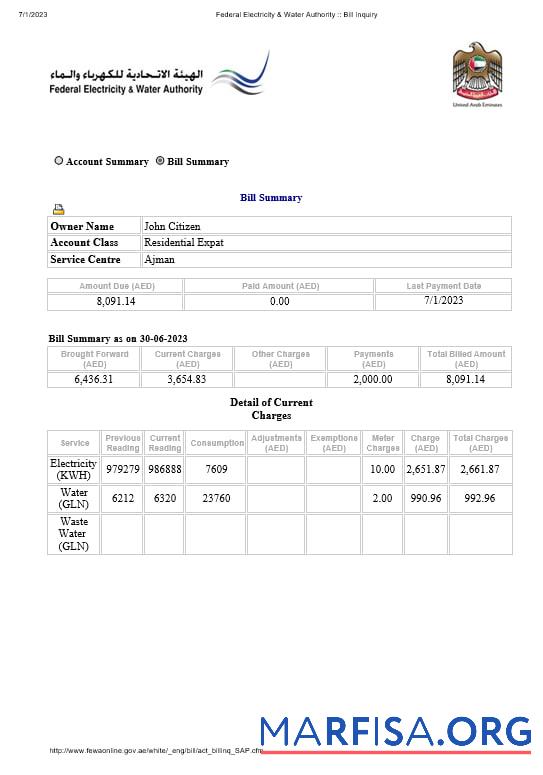Printable UAE Dubai Federal Electricity & Water Authority electricity, water utility bill Word and PDF formats example